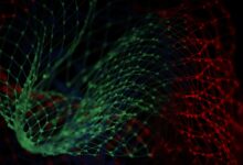 The Role of Data Analytics in Health Administration