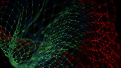 The Role of Data Analytics in Health Administration